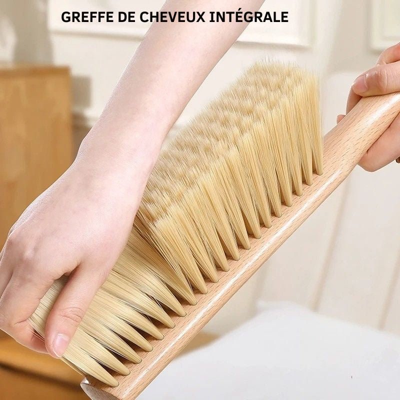 balayette Dépoussiérante Polyvalente