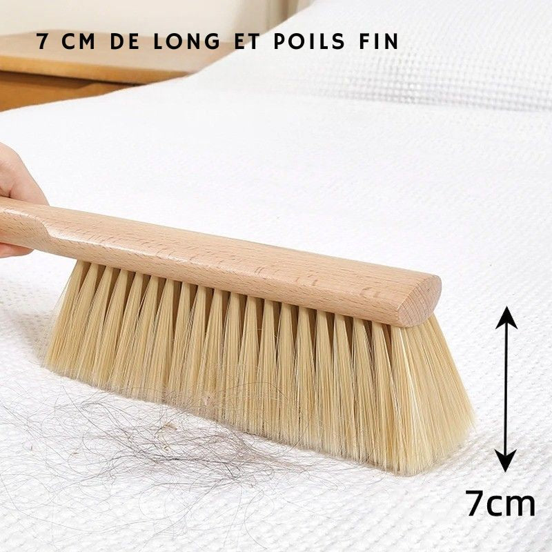 balayette à Main Universelle