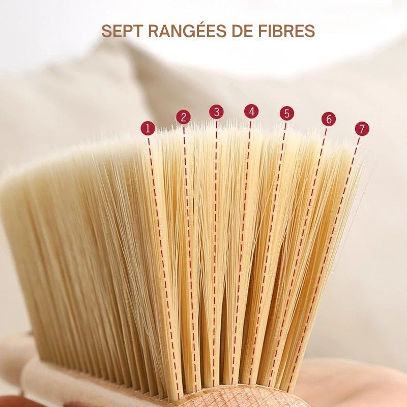 balayette de Ménage Multi Surfaces