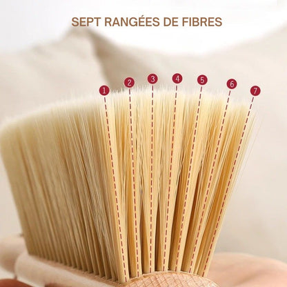 balayette de Ménage Multi Surfaces