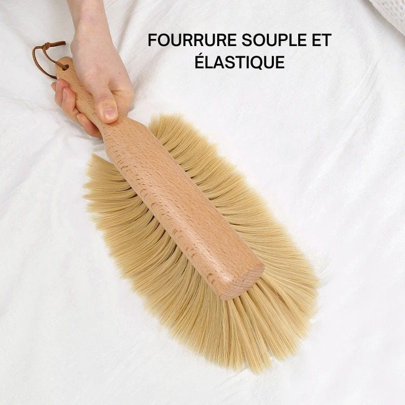 balayette de Nettoyage Maison et Bureau