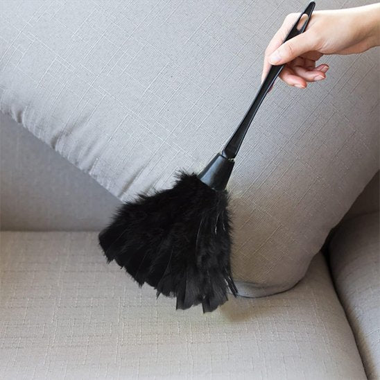 plumeau naturel noir pour poussiere fine