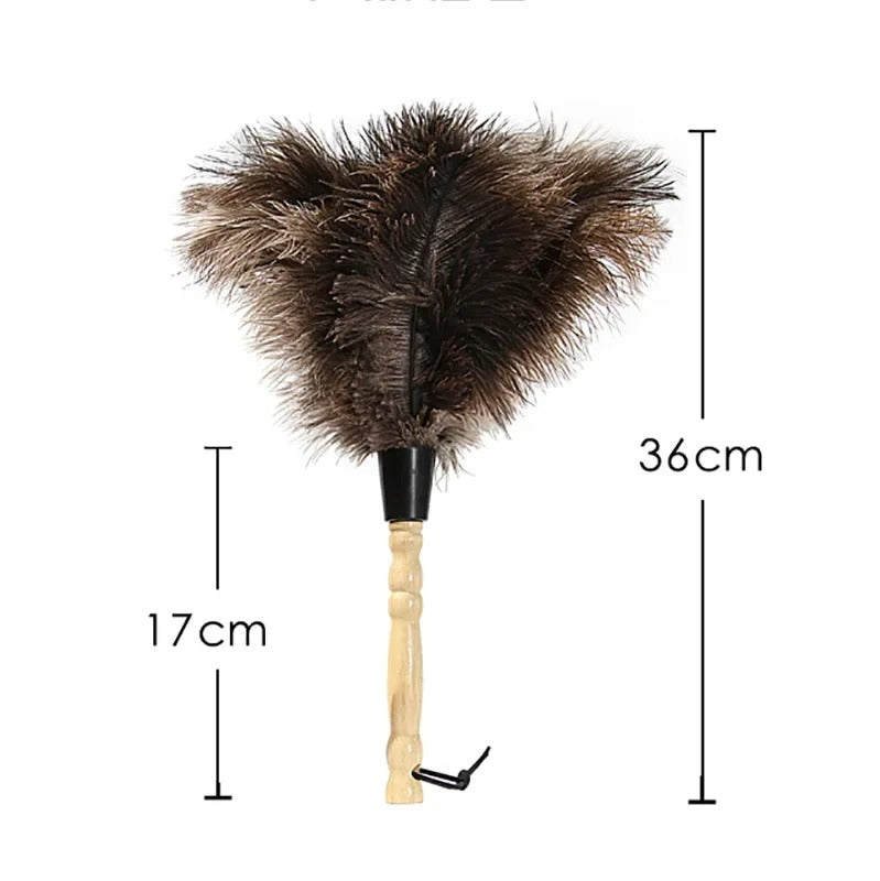 plumeau pour poussiere avec cordon cuir suspension.