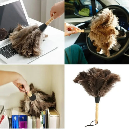 plumeau pour poussiere efficace ecrans sensibles.