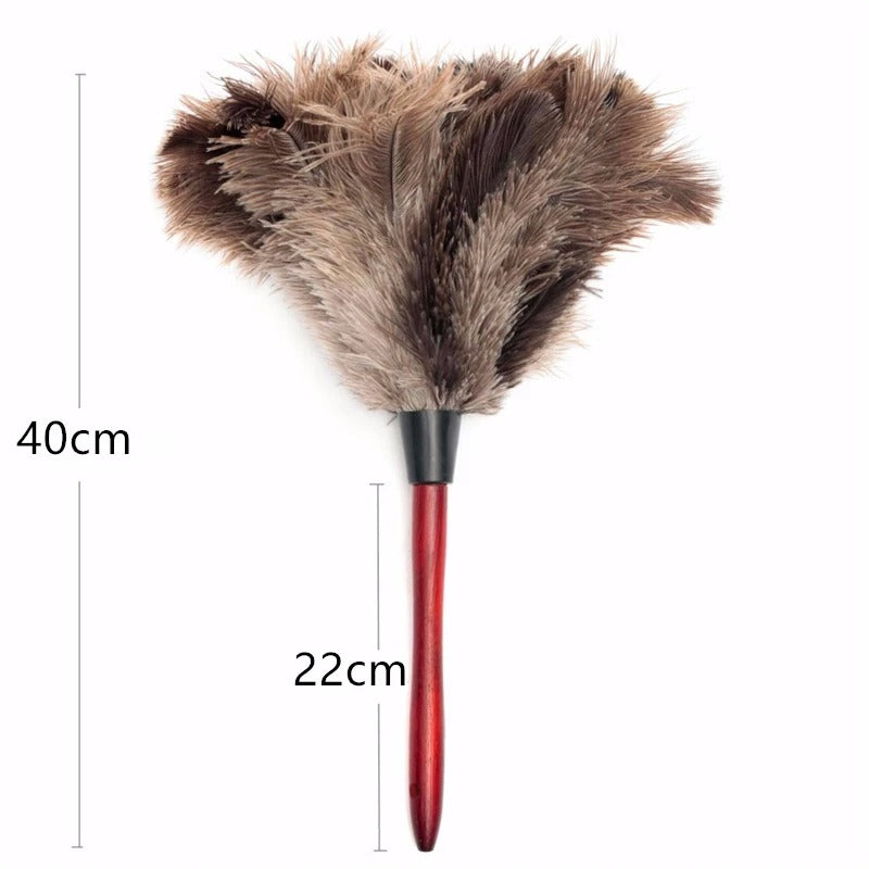 plumeau pour poussiere manche bois rouge 22cm.