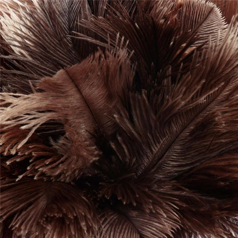 plumeau pour poussiere plumes brunes naturelles.