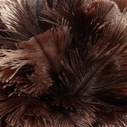plumeau pour poussiere plumes brunes naturelles.