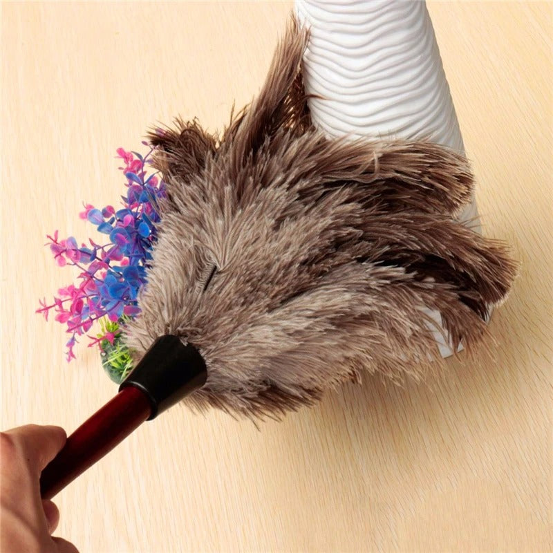 plumeau pour poussiere professionnel longueur 40cm.