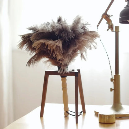 plumeau pour poussiere sans rayure meubles anciens.